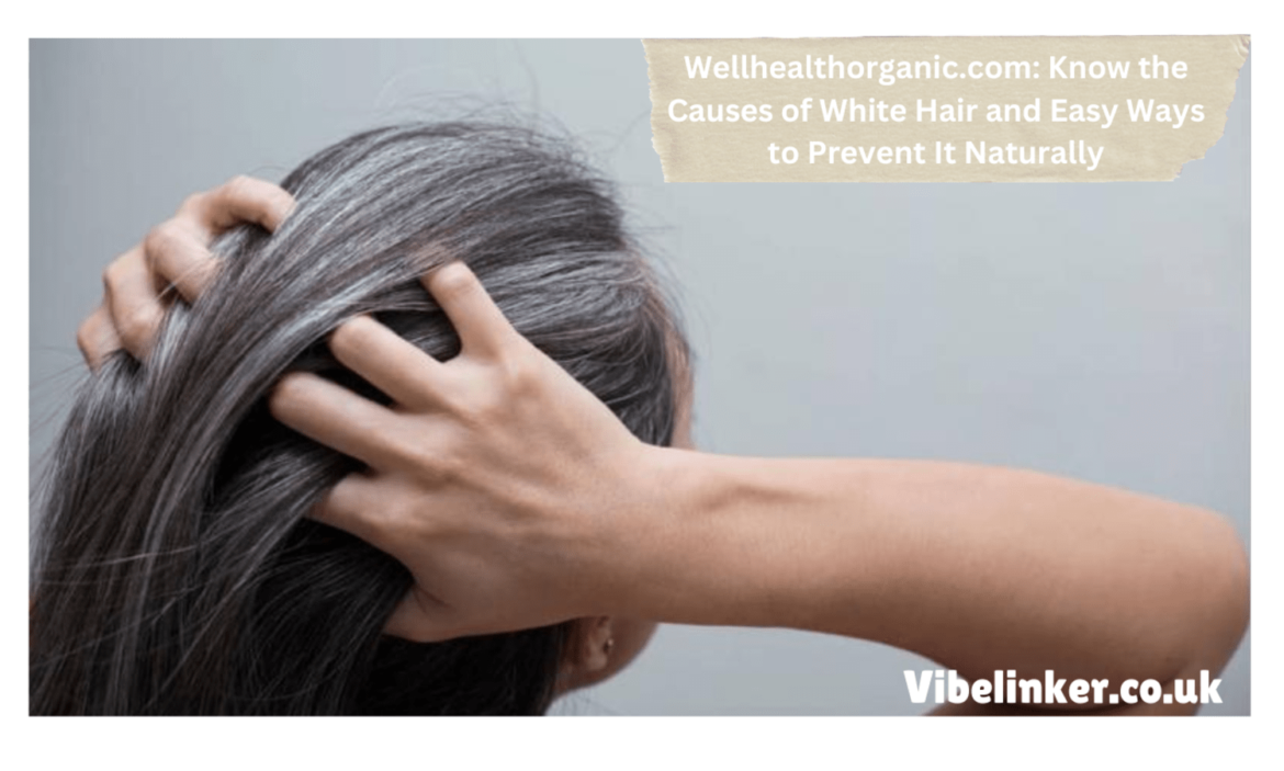 Wellhealthorganic.com/Know-The-Causes-Of-White-Hair-And-Easy-Ways-To-Prevent-It-Naturally