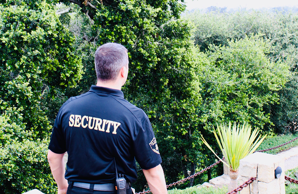 Ensure Safety and Peace of Mind with Professional Security Services