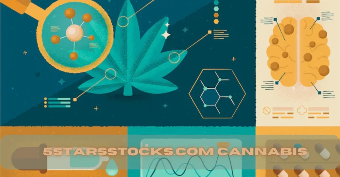 5StarsStocks.com Cannabis: What to Buy Hold and Avoid in 2025