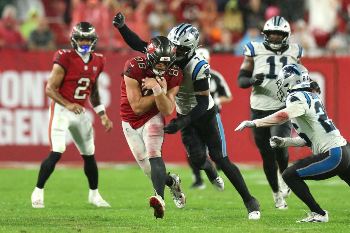 Atlanta Falcons vs Carolina Panthers Match Player Stats